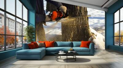 Cut down the tree with a chainsaw. Wall mural