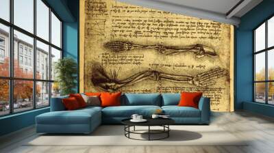 Anatomy Wall mural