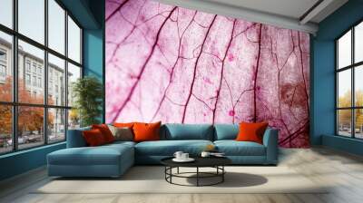 Tissue Microscopic Test Wall mural