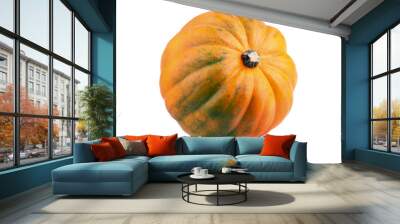 Acorn squash Wall mural