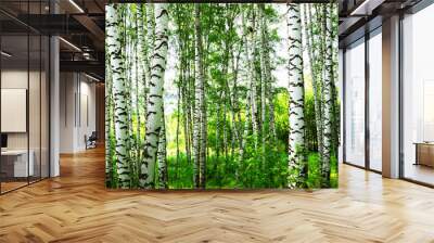 summer in sunny birch forest Wall mural