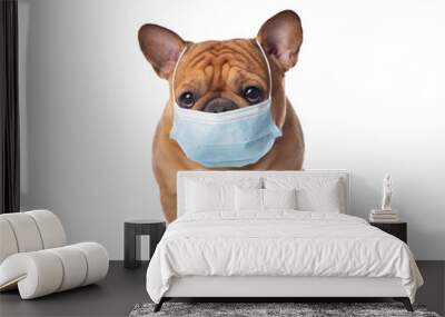 french bulldog in medical mask on a white isolated background Wall mural