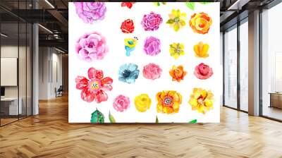 Beautiful Watercolor flower set Wall mural