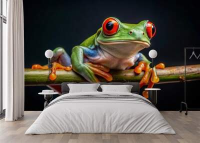 Green tree frog with orange legs and red eyes hanging on a branch in a dark setting Wall mural