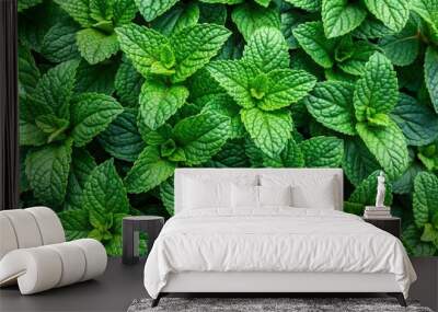 Spearmint leaves overlapping in a dense pattern, showcasing their lush green tones and natural texture Wall mural