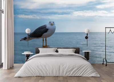 Close up view of white bird seagull sitting by the beach. Wild seagull with a natural blue background. Wall mural