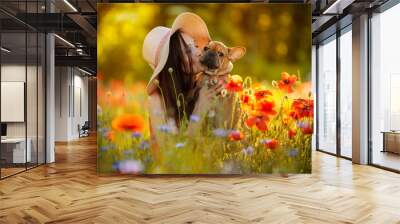 young girl and her french bulldog puppy in a field with red poppies Wall mural