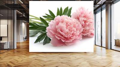 Close-up of two delicate pink peony flowers with lush green leaves against a clean white background, showcasing their elegant beauty. Wall mural