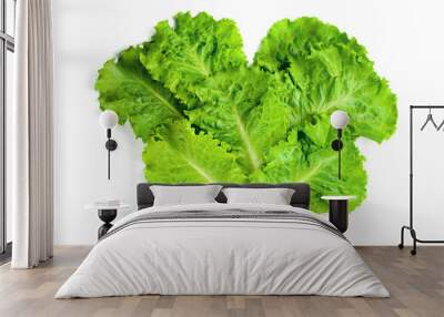 Fresh lettuce leaves are isolated on a white background. Proper nutrition, diet. Wall mural