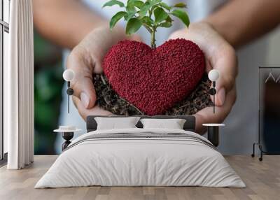 Hands holding a heart-shaped object with a small plant growing from it, symbolizing love for nature and sustainability. Wall mural