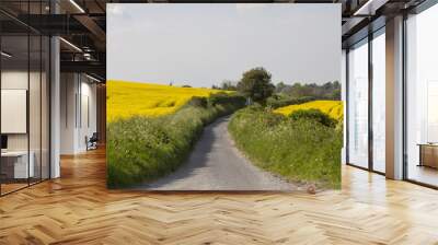 Small Country Road. A narrow English country road runs between two hedges that bound fields of canola on a spring day. Wall mural