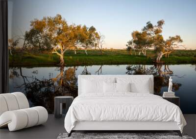 Dusk at Caroline River lagoon Wall mural