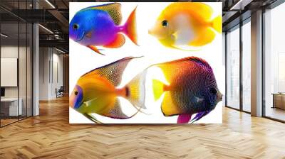 A group of colorful tropical fish, isolate on white background Wall mural