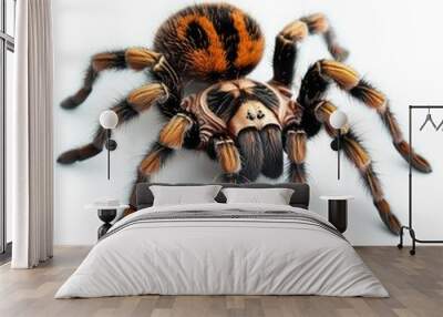 A tarantula crawling, isolate on white background Wall mural