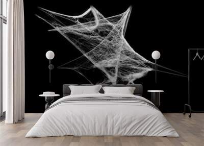 White spiderweb on on black grunge background, cobweb scary frames. Royalty high-quality free stock photo image of Real creepy spider webs silhouette isolated on Spooky Halloween backgrounds Wall mural