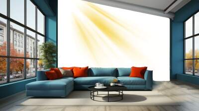 overlays, overlay, light transition, effects sunlight, lens flare, light leaks. high-quality stock p Wall mural