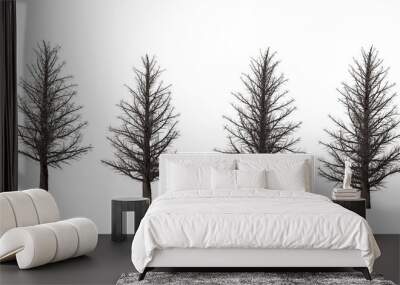 Trees forest set isolated on white background in winter season. High-quality free stock image of collection Silhouette of pine, spruce isolated on white background. Good design elements, illustration Wall mural