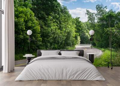 Landscape with curvy road at bright summer day in Finland Wall mural