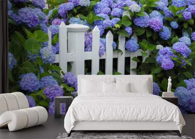 Purple and blue hydrangea flowers growing through a white picket fence. Cape Cod Cottage garden. Wall mural