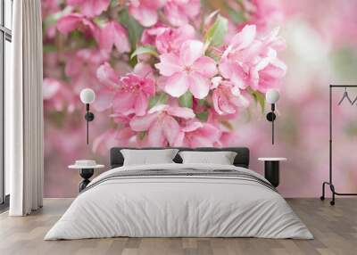 Original botanical photograph of a branch heavy with pink dogwood blooms against a soft pink background Wall mural