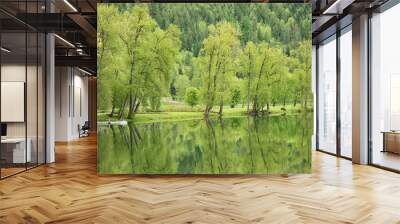 Original landscape photograph of the reflections of cottonwood trees with bright green new growth in a glassy river in the spring Wall mural