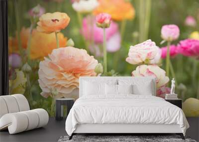 Photograph of a field of Ranunculus flowers Wall mural