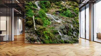 Kazu Grava waterfall in the middle of a beautiful green and lush forest illuminated by the sunlight in Latvia Wall mural