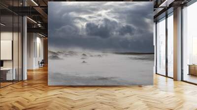 Blizzard on Baltic sea beach in windy day. Wall mural