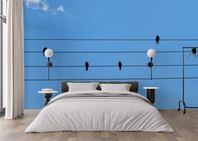 birds on wire with blue sky Wall mural