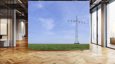 Electrical tower, green grass, blue sky Wall mural