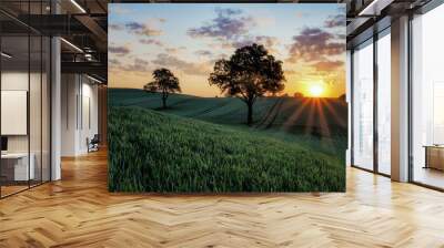 Sunrise among grain fields, near Sztum, Poland Wall mural