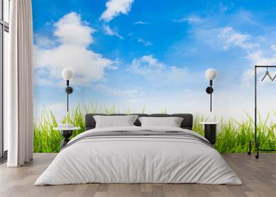 Spring nature background with grass and blue sky in the back  , Wall mural