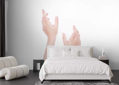 Two hands reaching and holding a concept isolated on white backg Wall mural