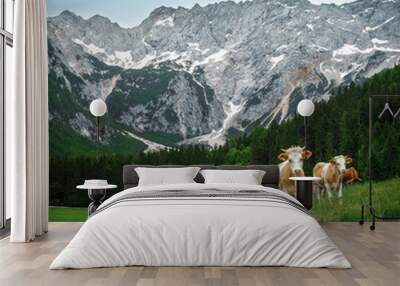 Herd of cows grazing on the alpine green fields, Slovenia Wall mural