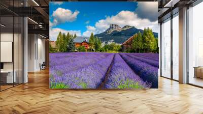 Spectacular rural place with lavender plantation and mountains in background Wall mural