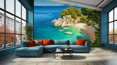 Tropical bay and beach with motorboats, Brela, Dalmatia region, Croatia Wall mural