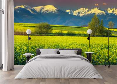 Wonderful canola field with snowy mountains, Fagaras, Carpathians, Transylvania, Romania Wall mural