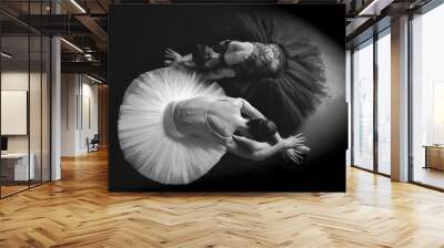 Black and white amazing ballerinas Wall mural