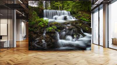 Amazing waterfall in the middle of mountain forest. River full of water during spring, beautiful flowing mass. Lovely contrast of water and surrounding forest green. Stones and fresh green leaves. Wall mural