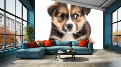 Adorable brown, black, and white puppy lying down, isolated on a white background, looking curious and cute., transparent background Wall mural