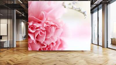 Carnation petals soft blur for background. Concept of flower texture background. Wall mural