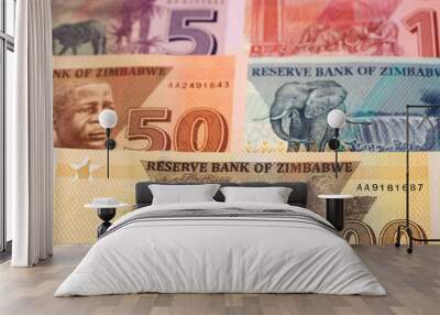 Zimbabwean dollar a business background Wall mural