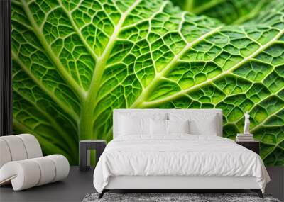 Close-up of a vibrant green cabbage leaf, fresh, organic, healthy, vegetable, green, leafy, food, farm, agriculture Wall mural