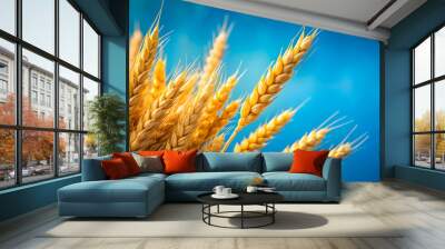 Close-up of yellow spikelets of wheat against a vibrant blue background, wheat, spikelets, yellow, agriculture, harvest, crop Wall mural