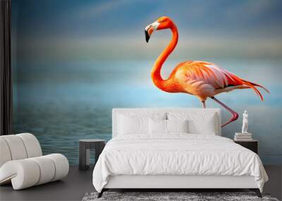 Flamingo with one leg raised in mid-step, flamingo, bird, wildlife, animal, nature, pink, standing, graceful, elegance Wall mural