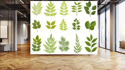 Green Leaf Sprout Collection Botany Nature Garden Foliage Botany Illustration Wall mural