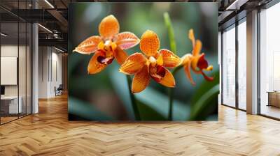 Orange orchid flower blooming in a tropical garden with blurred background, beauty of nature and botanical art concept Generative AI Wall mural