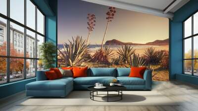 Sunset on the beach Genoveses in the Natural Park of Cabo de Gata, Almeria, Spain Wall mural