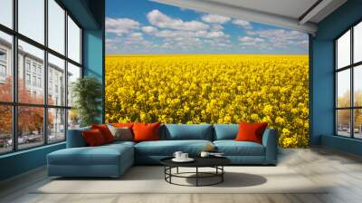 Expansive Canola Rapeseed Crop Field in Rural Kansas Wall mural