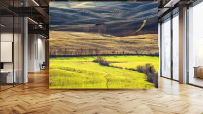 Beautiful and miraculous colors of green spring landscape of Tus Wall mural